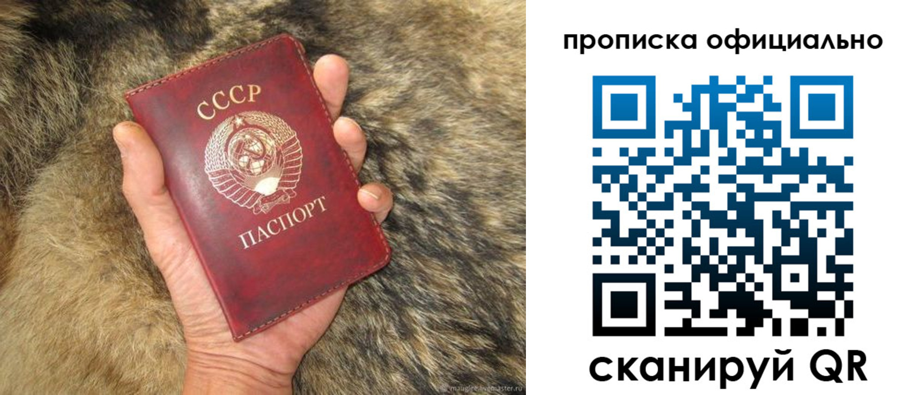 купить прописку в Сосновом Бору